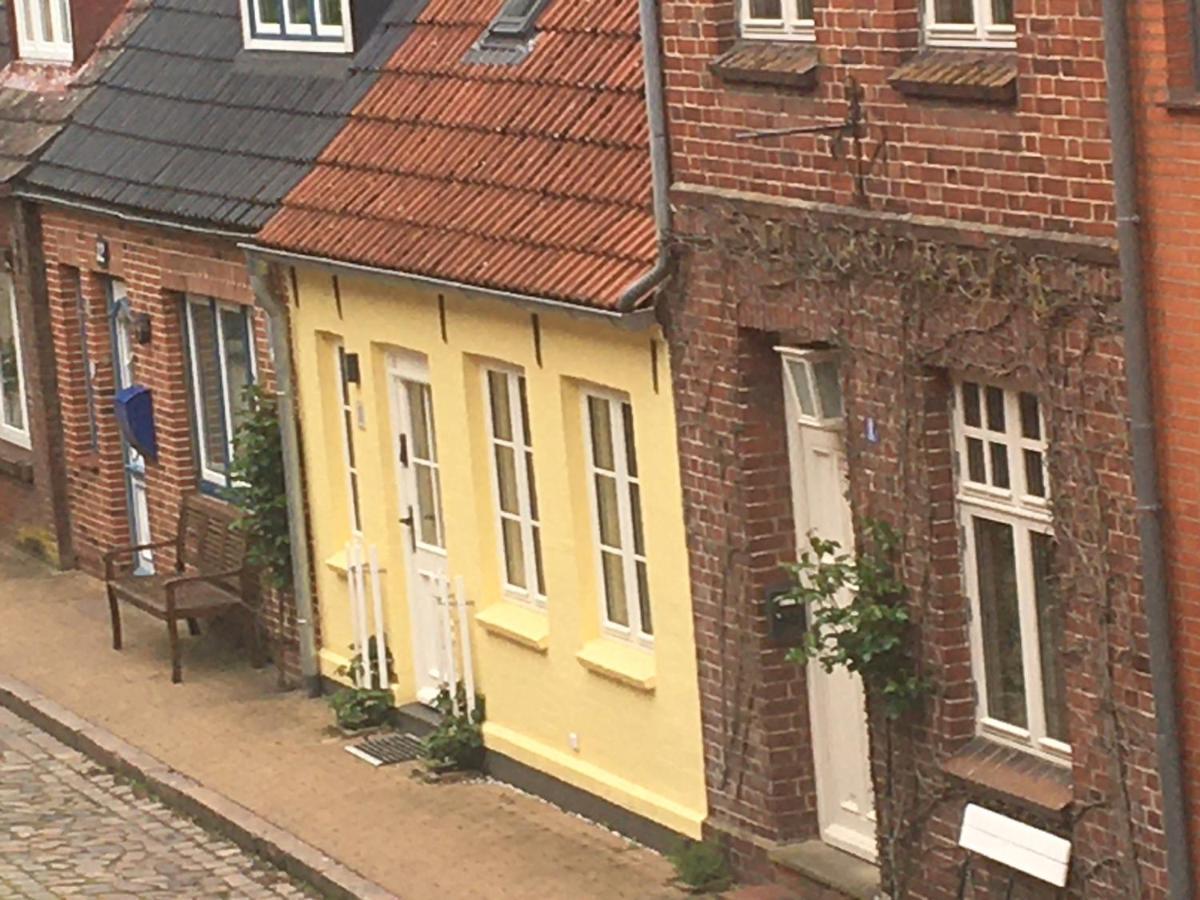 Vila Ferienhaus - Sonnenhaus Friedrichstadt Exteriér fotografie